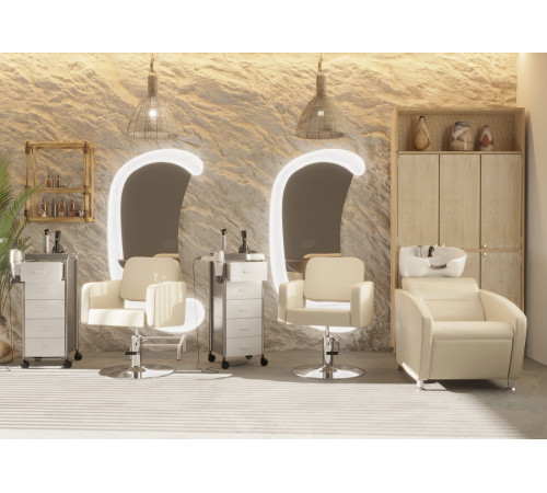 Комплект Одри (кресло + мойка)