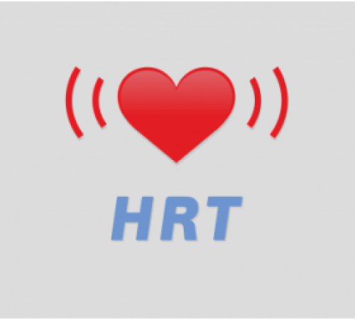 Беговая дорожка SVENSSON INDUSTRIAL GO T65