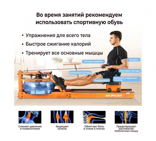 Гребной тренажер DFC RUNOW Golden Wood