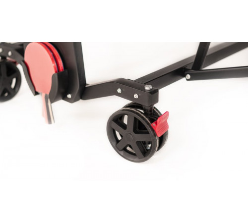 Теннисный стол складной для помещений "RASSON PREMIUM T01 Indoor" (274 х 152,5 х 76 см, черный ясень) с сеткой